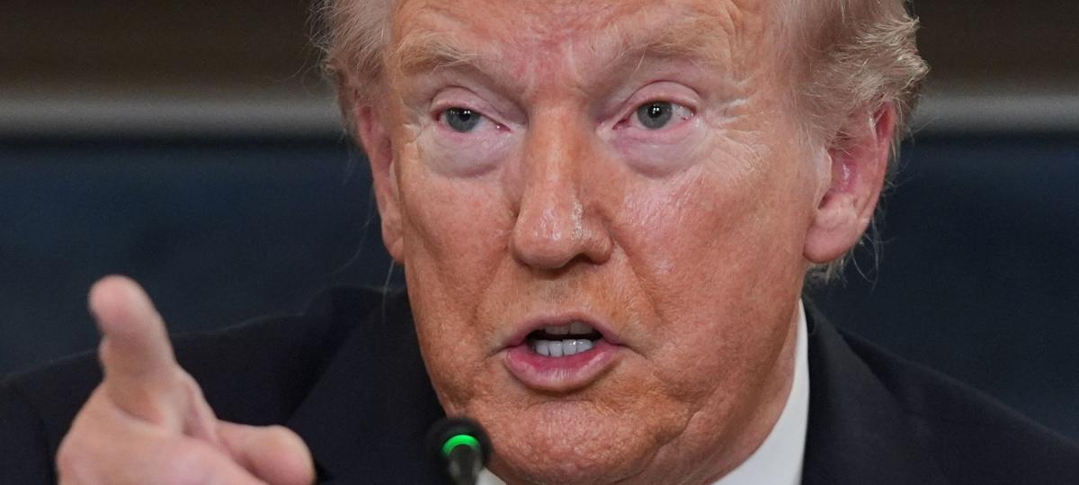 Auch aus Sorge wegen Trump: Ulmer Forscherin kehrt den USA den Rücken