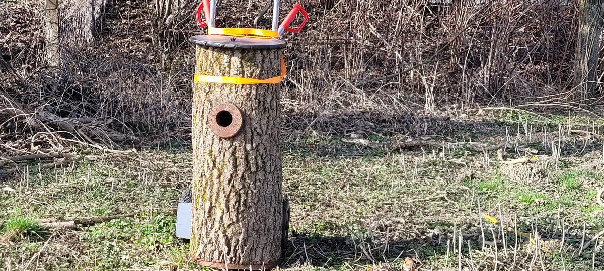 Tierschutz: Elchinger bauen Nisthöhlen für den Wiedehopf