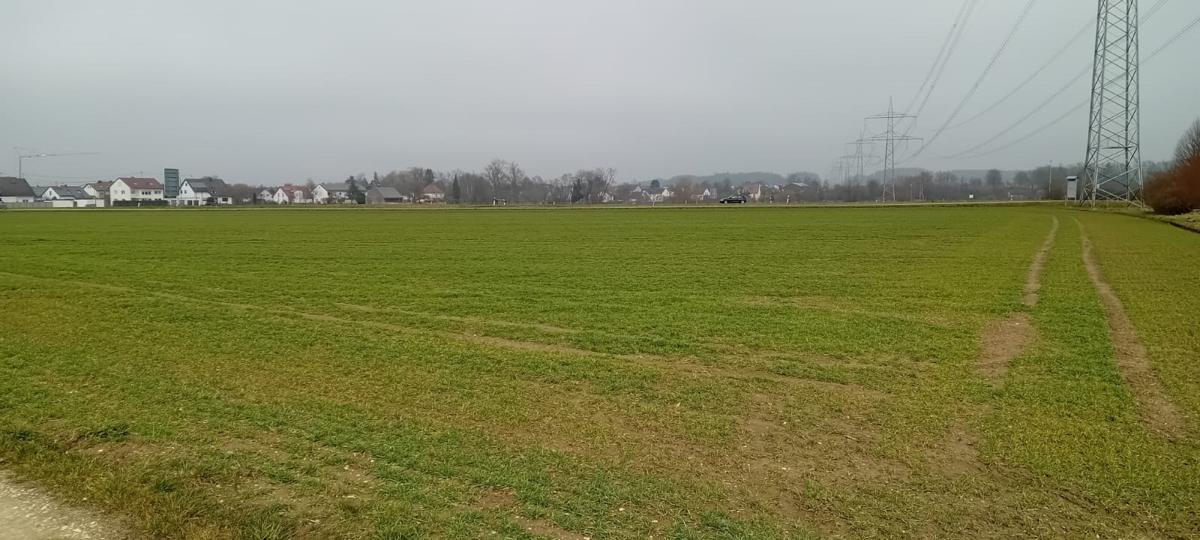 Trotz Grünzäsur und anderer Hürden will Pfaffenhofen das  Gewerbegebiet vergrößern