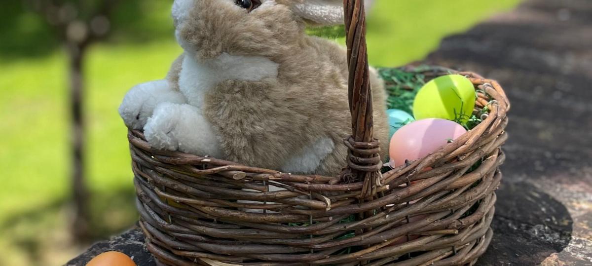Hasenstarkes Osterquiz im Museum im Wittelsbacher Schloss