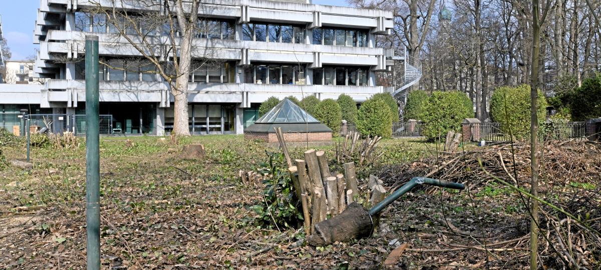 Anwohner sind „entsetzt“ über Baumfällungen bei der IHK – was die Kammer dazu sagt