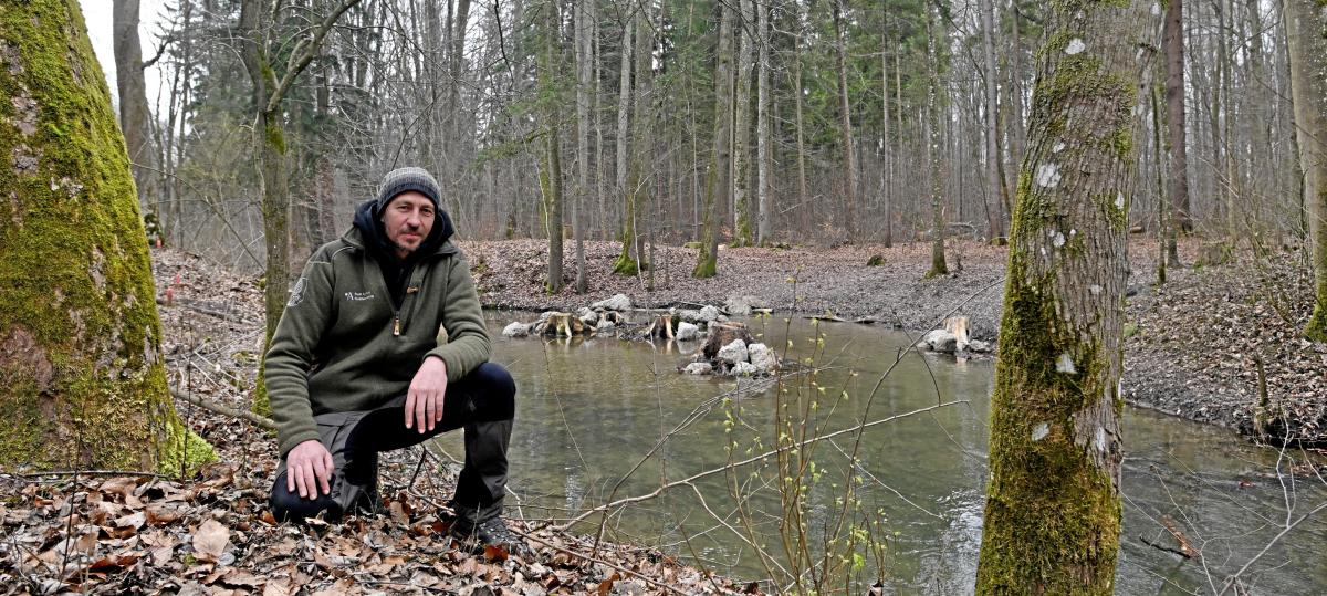 Millionen für mehr Vielfalt: Dieser Umbau verändert den Augsburger Stadtwald