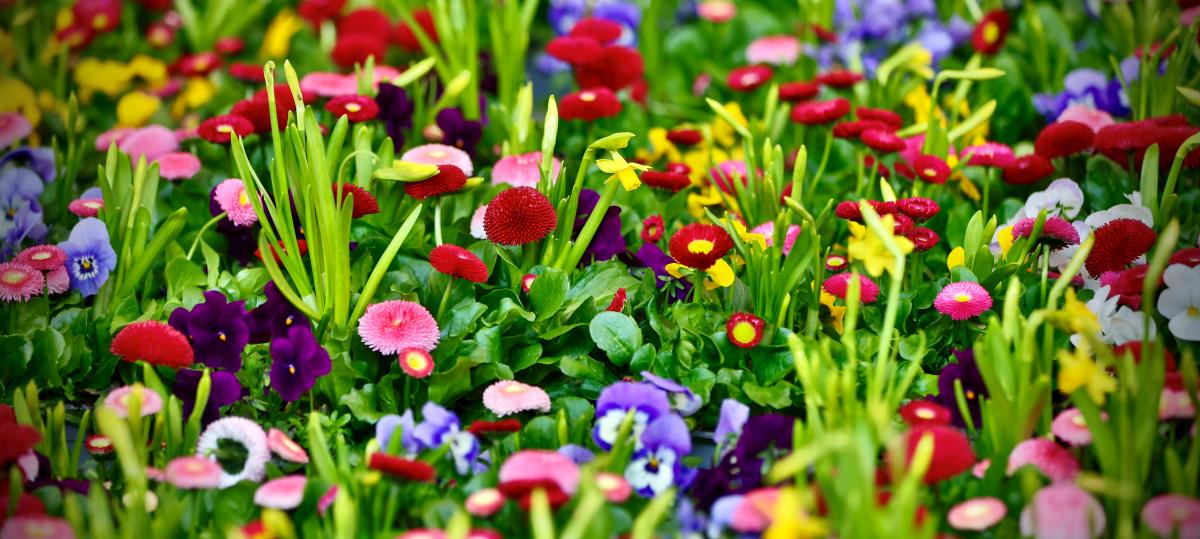 Ulmer Gartenräume 2026