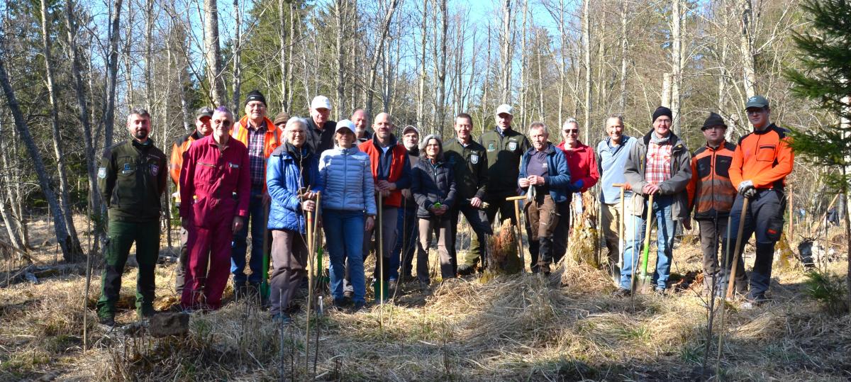 Baumpflanzaktion im Lechpark Pössinger Au