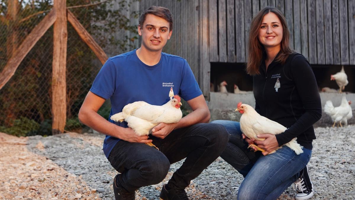 Breitsameter Organic Farm near Dasing: How organic eggs get from hen to ...