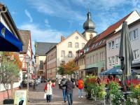 Was tut sich in der Marktheidenfelder Innenstadt? Die Redaktion wirft zusammen mit Inge Albert von der Stadt einen Blick auf die Entwicklungen der vergangenen zwei Jahre.