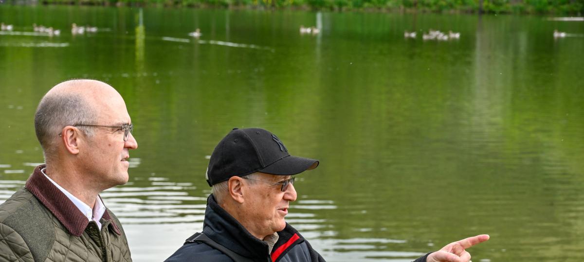 Gänse-Plage in Erlabrunn: In den frühen Morgenstunden darf auch am Badesee gejagt werden