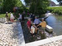 Die neue Kneippanlage in Balzhausen kommt gut an. Nach der Segnung durch Pfarrer Florian Bach steigen die meisten Besucher ins Wasser.