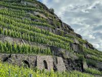 Beste Lage, beste Weine: Der Röttgen in Winningen ist eine der spektakulärsten und renommiertesten Spitzenlagen an der Terrassenmosel. Auch das Weingut Heymann-Löwenstein bewirtschaftet hier vier Parzellen.
