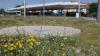 Blumen, aber kein Wasser: Der Brunnen an der Straßenbahn-Haltestelle Königsbrunn Zentrum ist vorübergehend stillgelegt. Im Zentrum grüßen Blumen, aber keine Fontänen. Aktuell sind die Fontänen auf der Wiese in der Wendeschleife der Tram an der Haltestelle Königsbrunn Zentrum, außer Betrieb.