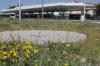 Blumen, aber kein Wasser: Der Brunnen an der Straßenbahn-Haltestelle Königsbrunn Zentrum ist vorübergehend stillgelegt. Im Zentrum grüßen Blumen, aber keine Fontänen. Aktuell sind die Fontänen auf der Wiese in der Wendeschleife der Tram an der Haltestelle Königsbrunn Zentrum, außer Betrieb.