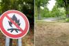 Die Waldbrandgefahr im Augsburger Stadtwald ist aktuell hoch.