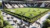 Zebras haben im Stadion des TSV Meitingen einen eigenen Eingang.