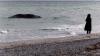 Mitte Mai wurde „Timmys“ Kadaver am Strand von Anholt gefunden.