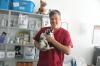 Die „Netto-Katze“ wird von Markus Müller in der Tierarztpraxis Petermann in Pfaffenhausen versorgt.