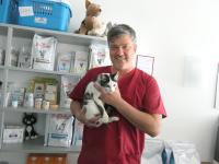 Die „Netto-Katze“ wird von Markus Müller in der Tierarztpraxis Petermann in Pfaffenhausen versorgt.