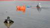 Kräfte von THW und Wasserwacht haben bei Elchingen ein Autowrack aus der Donau geborgen. 