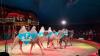 Der Circus Barelli hat sein Gastspiel in Augsburg verlängert. Noch bis zum 14. Juni ist der Tross in der Stadt.