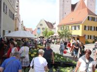 Wenn die Wemdinger Altstadt zum Garten wird: Der Fuchsien- und Kräutermarkt lockte wieder viele Menschen an.