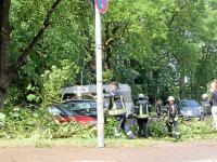 Massive Sturmschäden in Nördlingen und Nähermemmingen In Nähermemmingen im Egerweg stürzte ein Baum auf die Stromleitung. FFW Nördlingen und Nähermemmingen im Einsatz. Auf der Verbindungsstraße Nördlingen - Nähermemmingen riß der Sturm einen großen Ast heraus der auf den Radweg fiel. Thomas Hartmann vom Hofladen schob ihn mit einem Traktor zur Seite. Am Bädlefiel ein riesiger Ahorn- Ast auf geparkte Autos. Hier war die FFW nördlingen im Einsatz Foto: Dieter Mack