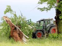 Zwischen Nördlingen und Nähermemmingen hat das Unwetter einen großen Teil eines Baumes abgetrennt.