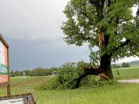 In Nördlingen ist es zu Sturmschäden aufgrund des Unwetters vom Sonntag gekommen.