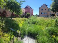 Die Kleine Wörnitz fällt im Sommer weitgehend trocken - das soll sich ändern.
