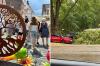 Während das Unwetter beim Fuchsienmarkt in Wemding (links) nur für Regen sorgte, waren die Auswirkungen in Nördlingen mehr spürbar, hier ein heruntergefallener Ast Am Reitersteg.
