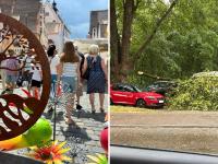 Während das Unwetter beim Fuchsienmarkt in Wemding (links) nur für Regen sorgte, waren die Auswirkungen in Nördlingen mehr spürbar, hier ein heruntergefallener Ast Am Reitersteg.
