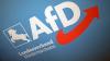 Der Verfassungsschutz in Niedersachsen darf seine Beobachtung des AfD-Landesverbandes vorläufig hochstufen. (Symbolbild)
