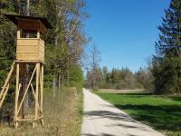 Das Mondschein-Geräumt ist eine der schnurgeraden Schneisen im Haunstetter Wald – entstanden bei der Waldflurbereinigung im Jahr 1765.
