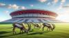 Beim TSV Mittelneufnach grasen Steinböcke rund um das Stadion.