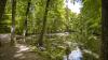 Beim Schallerweiher im Roggenburger Forst verläuft einer der neuen Premiumspazierwanderwege in der Region Günzburg/Neu-Ulm.