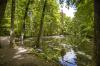 Beim Schallerweiher im Roggenburger Forst verläuft einer der neuen Premiumspazierwanderwege in der Region Günzburg/Neu-Ulm.