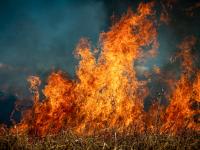 Zweimal hat eine Böschung bei Dinkelscherben gebrannt, einmal eine Mülltonne. Die Polizei vermutet Brandstiftung.