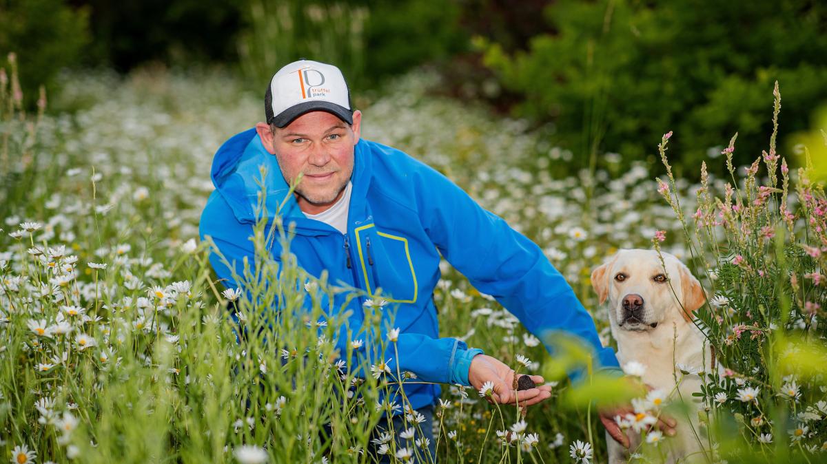 Tr-ffel-statt-Mais-Wie-Sebastian-Jungbluth-in-Giebelstadt-mit-Mut-die-Landwirtschaft-belebt