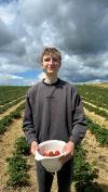 Tim Hofmann möchte mit den Erdbeeren ein neues Rezept ausprobieren. Aber auch den pure Beeren-Genuss liebt der junge Mann
