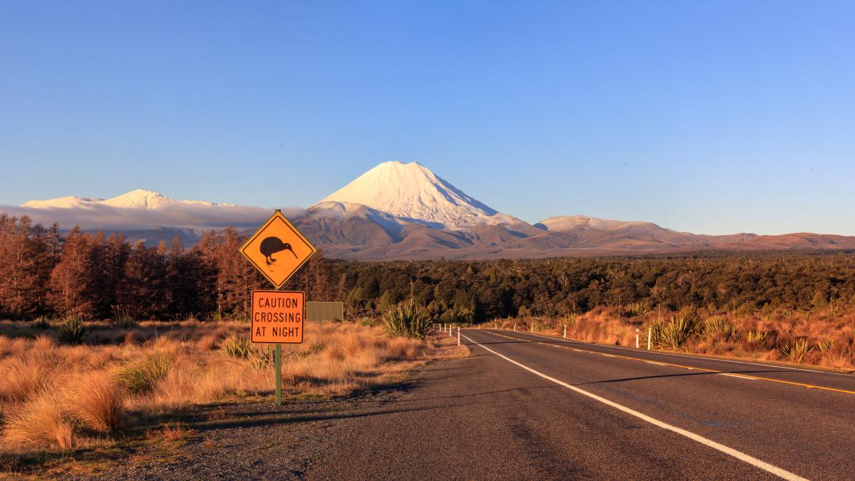 Auswandern-nach-Neuseeland-Voraussetzungen-H-rden-und-Chancen