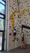 Die Kletterhalle Krumbach bietet auf verschiedenen Routen und Schwierigkeitsgraden Trainings- und Freizeitmöglichkeiten für Kinder, Jugendliche und Erwachsene.