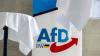Die AfD-Delegierten zeigten sich nicht begeistert von der Überraschung.