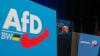 Frohnmaier zieht die Strippen im Landesverband