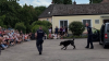 Die Vorführung der Polizeihunde lockte Klein uns Groß an den Zuschauerrand.