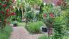 Der Garten der Doppelhaushälfte hat die Familie Roth in Schwabmünchen 2019 angelegt und ständig erweitert. Er soll einen Mix aus Bauern- und mediterranem Garten darstellen. Das Motto: „Der Stärkere überlebt“.