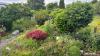 Das Besondere an dem eingewachsenen Garten von Marcel Leix aus Meitingen ist das Grün mit vielen Sitzgelegenheiten. Das Highlight stellt der Teich dar. Dazu gesellen sich ein Teichlauf, eine Kräuterecke und ein Bauerngarten. Eher Dschungel und verwachsen anstatt aufgeräumt und übergepflegt.