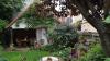 Ein möglichst vielseitig bepflanzter Garten ist auch ein Lebensraum für viele Arten.