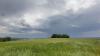 Die Prognose klingt wenig sommerlich: Für die nächsten Tage sind im Südwesten Regen und Wolken angesagt. (Archivbild)