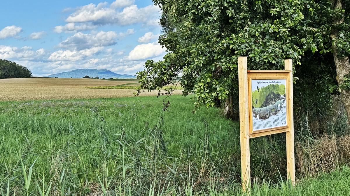 Gemeinderat-erfuhr-mehr-ber-die-k-nftige-Waldbewirtschaftung
