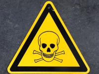 Eine Frau hat das Bild eines Totenkopfs auf ihrem Körper tätowiert. Es soll dem SS-Totenkopf ähneln, so die Staatsanwaltschaft.