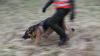 Auch Spürhunde kommen zum Einsatz. (Archivbild)