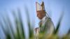 Papst Leo XIV. hält im Hafen von Santa Cruz de Tenerife auf den Kanarischen Inseln eine Heilige Messe.